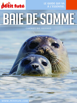 cover image of BAIE DE SOMME 2021/2022 Carnet Petit Futé